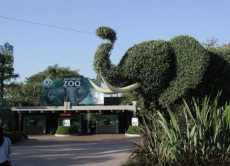 Zoo San Diego